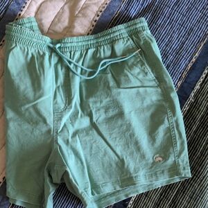 Brooks Brothers Aqua/Seafoam Shorts